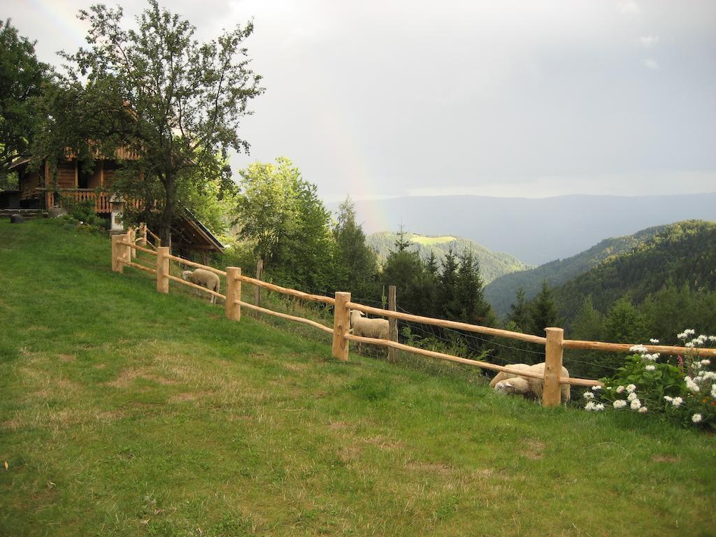 Chalets Toplak Sveti Duh na Ostrem Vrhu Exterior foto