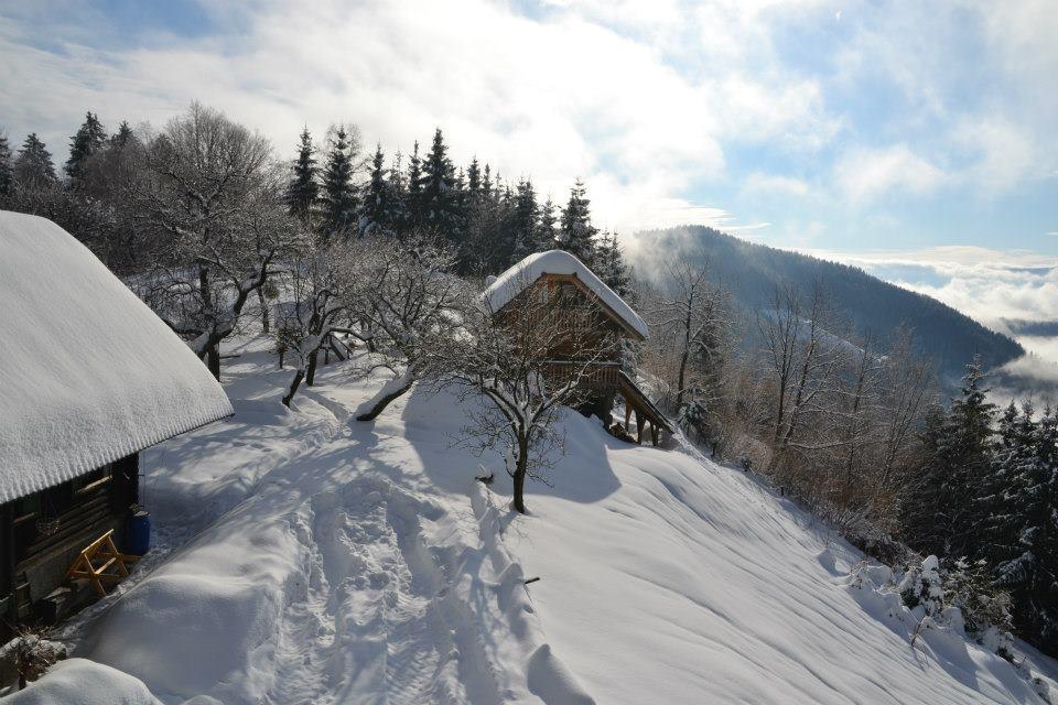 Chalets Toplak Sveti Duh na Ostrem Vrhu Exterior foto